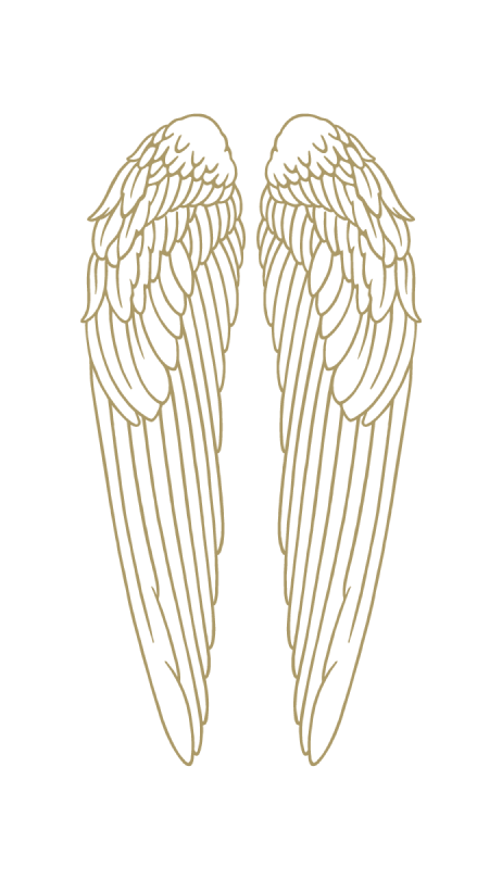 angelsenvy_brand_assets_brandmark_gold_M_1